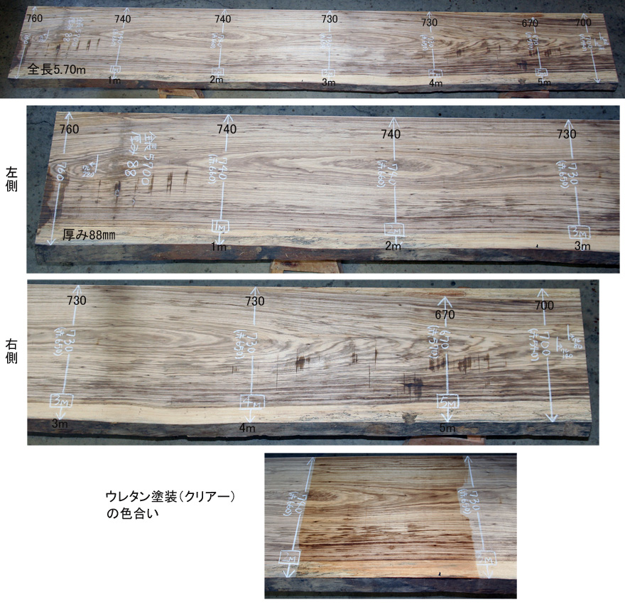 csbe-12 ベリ 長尺5.70mの一枚板 – 商品一覧