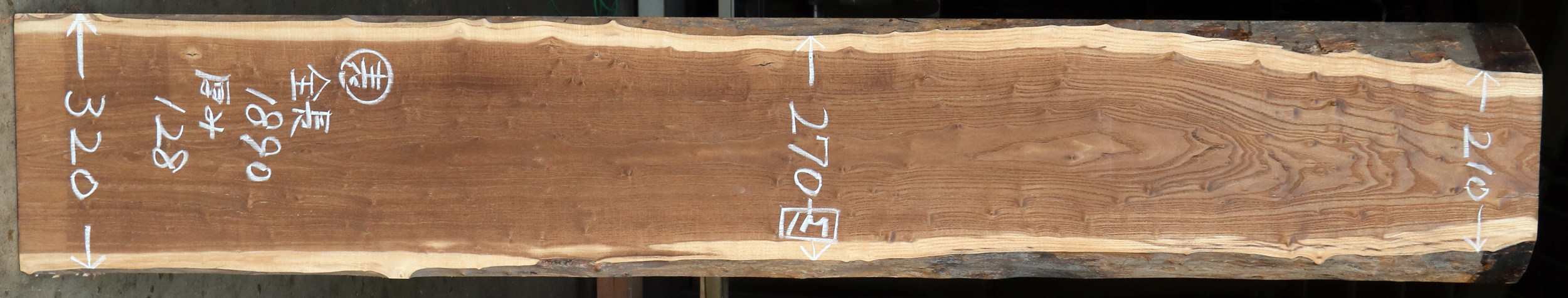 cskw-01 桑（クワ） 1.89m 一枚板 – 商品一覧 – 天然木無垢一枚